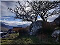 SH6660 : Tree and boulders along the Snowdonia Slate Trail by Mat Fascione