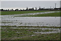 Waterlogged farmland