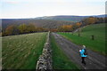 Track on Wilkin Hill