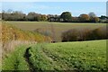 Farmland, Chepping Wycombe