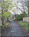 Old rail track at Woodend