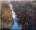 Looking to weir on South Calder