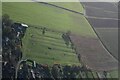 Ridges and furrows in field at North Somercotes: aerial 2022