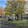 Lichfield Road: a bench by the bus stop