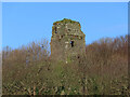 NX0882 : Ardstinchar Castle, Ballantrae by Billy McCrorie