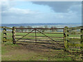 Farm gate with view, Muswell Hill