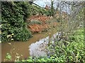 Pearl Brook after heavy rain