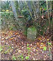 Old Milestone, Luckington