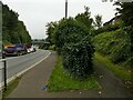 Path to the footbridge over Upper Windsor Street