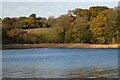 Estuary, Penryn