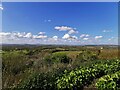 View from Duncton Hill View Point