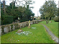 Snowdrops in Ludgershall churchyard