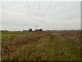 Path south of Immingham