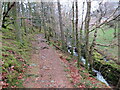 NY1520 : Path and stream in Lanthwaite Wood, near Keswick by Malc McDonald