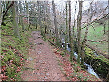 NY1520 : Path and stream in Lanthwaite Wood, near Keswick by Malc McDonald
