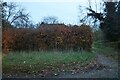 Hidden house on Nettleden Road, Water End