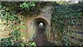 Tunnel under the former Severn Valley Railway