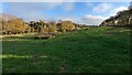 Looking east from the footpath