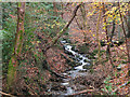 Ladhope Burn, Galashiels