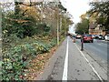 Repainted cycle lane