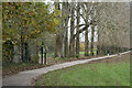 Footpath through Fleming Park