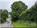 The road near High Millgillhead