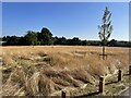 Hawley Farm Open Space