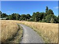 New path - Hawley Farm Open Space