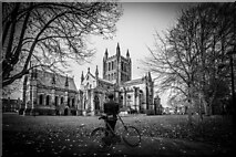 SO5139 : Hereford Cathedral by Brian Deegan