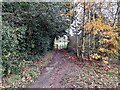 Footpath to School Lane