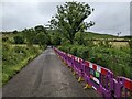 NY0917 : A colourful addition to the lane above Croasdale by David Medcalf