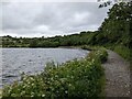 A charming and well-made section of bridleway next to Ennerdale Water