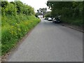 Country Lane near Village 