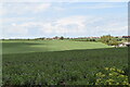 Rolling chalk farmland