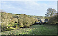 Rough grazing at Bridge End