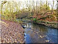 Trub Brook in Hopwood Clough