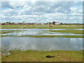 Flooded paddocks, Cakeham Farm