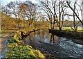 The River Goyt near Mousley Bottom