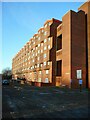 Flats on Raglan Street