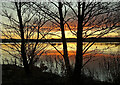 Winter sunrise at Mochrum Loch