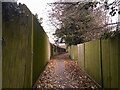 Path between Centenary Lodge and Highfields Gardens