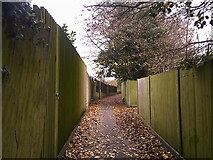 SU8649 : Path between Centenary Lodge and Highfields Gardens by Basher Eyre