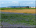 Farmland near St Monans