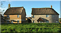 Thatched houses near Bridport