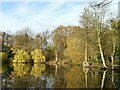 New Earswick Nature Reserve ? The pool looking west