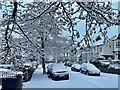 Wintry scene on Dunkeld Road