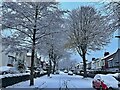 Wintry scene on Dunkeld Road