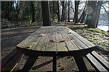 H4772 : Frosty picnic table, Cranny by Kenneth  Allen
