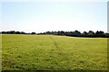 Footpath to Norley Hall