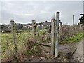 SJ8049 : Squeeze stile by farm track by Jonathan Hutchins